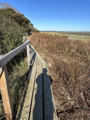 Helpful board walks on the marshy sections round Pagham Harbour